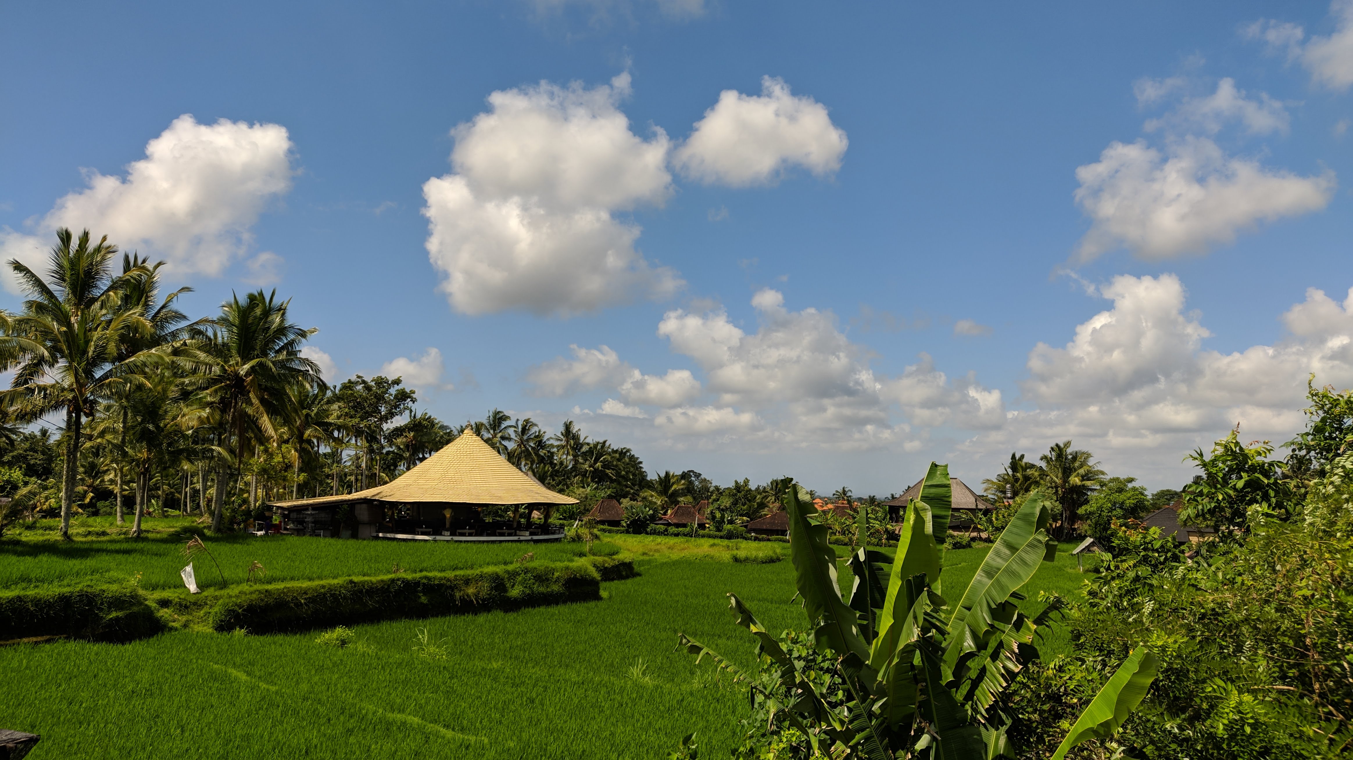 The Pomegranate in Ubud rice fields 