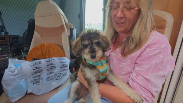 Vanlife couple with their dog inside campervan at the Southwest Motorhome Show