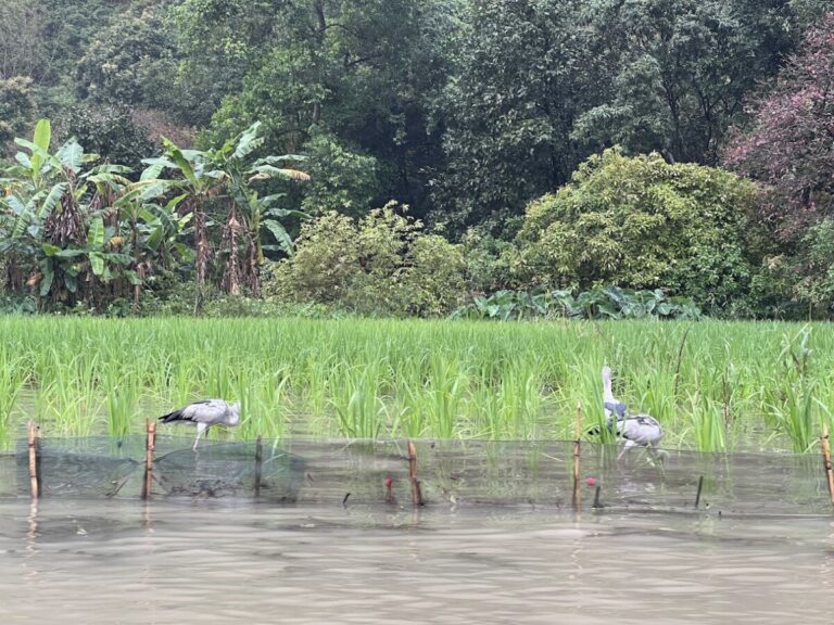 Tam Coc Vietnam: Rain, Reflections & Unexpected Twists