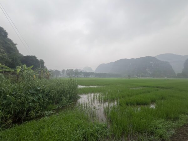 Misty rice fields and karst mountains during Tam Coc Vietnam backpacking trip
